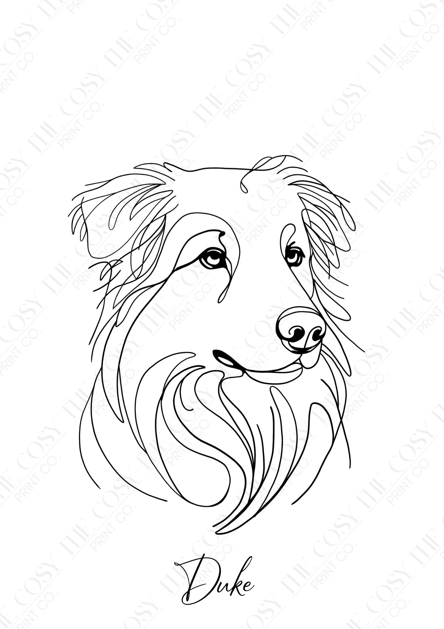 Hand-drawn minimalist line art illustration of a Border Collie. Black line drawing on a white background, customisable with the dog’s name