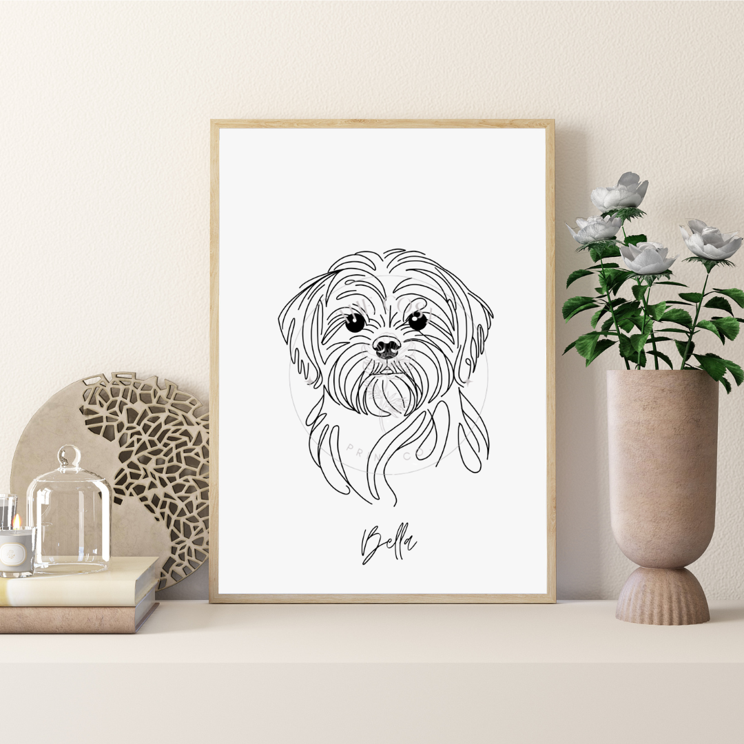 hand-drawn-shih-tzu