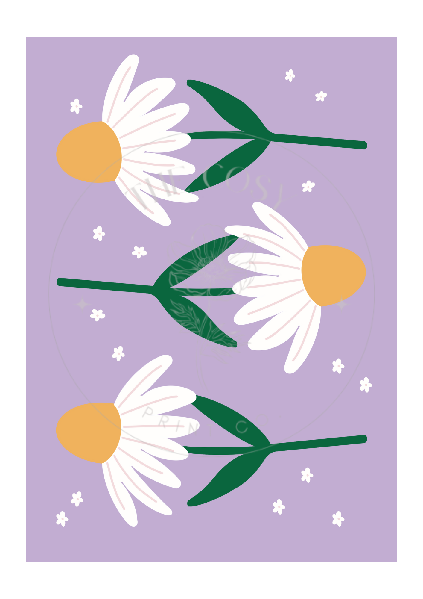 Set of 4 hand-drawn daisy prints in pastel pink, purple, blue, and green shown as a gallery wall.