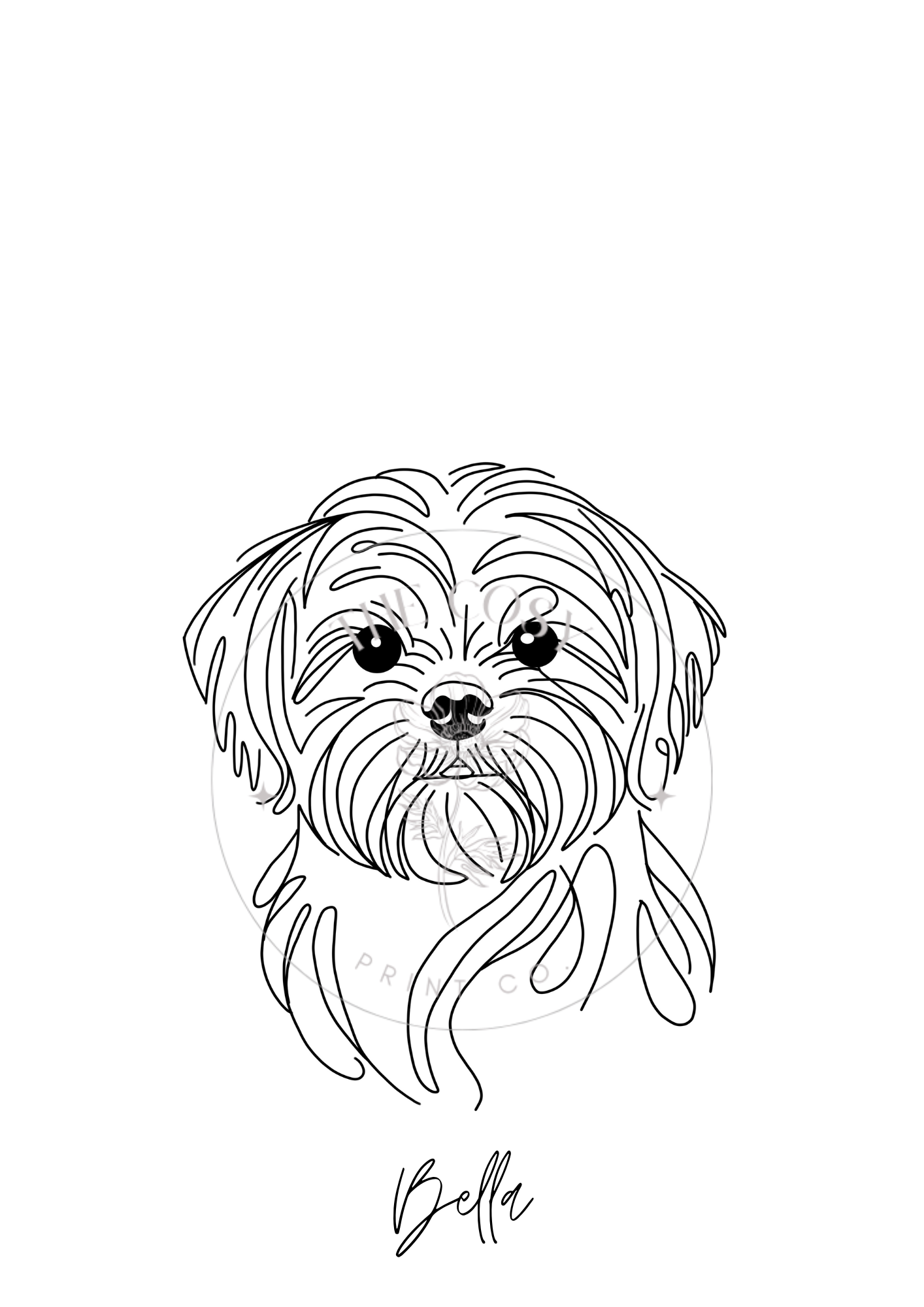hand-drawn-shih-tzu
