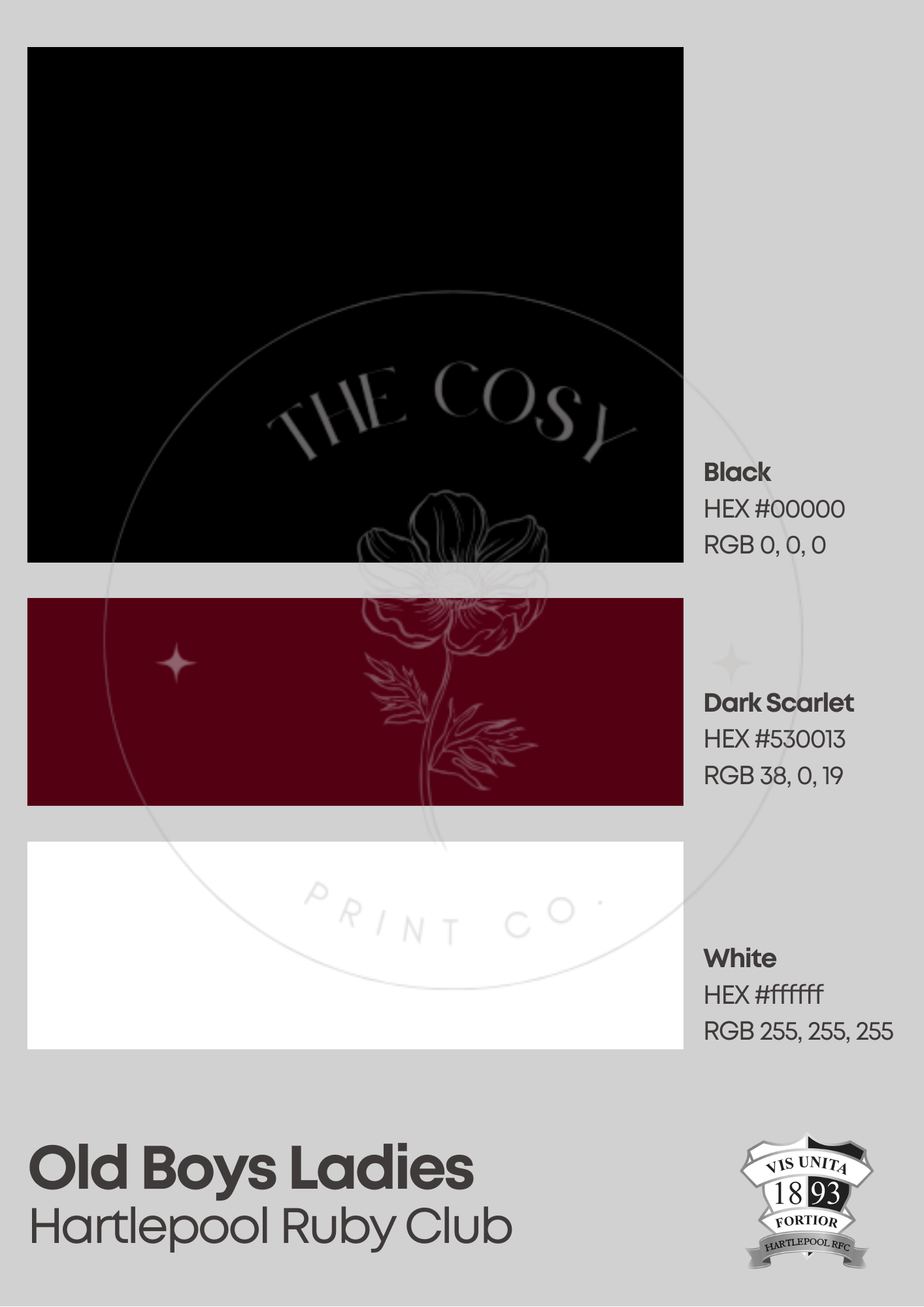 Customisable sports team print featuring Pantone-style colours, team badge, and season details – perfect for any sport or club.